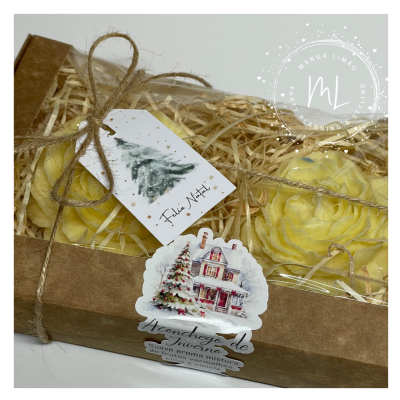 Pack de 2 Velas Peónia – Aroma Aconchego de Inverno | Exclusivo Manga Limão