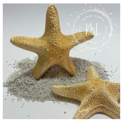 Estrela do Mar em gesso perfumado Estrela do Mar em gesso perfumado