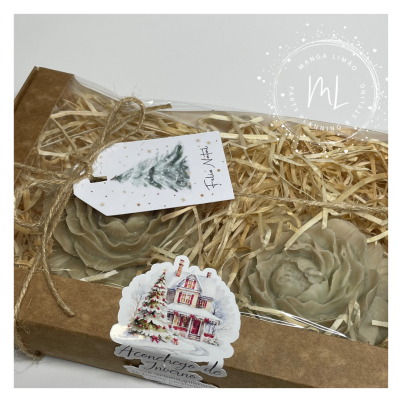 Pack de 2 Velas Peónia – Aroma Aconchego de Inverno | Exclusivo Manga Limão