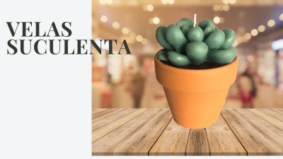 Vela 'Suculenta' em vaso de barro Vela 'Suculenta' em vaso de barro