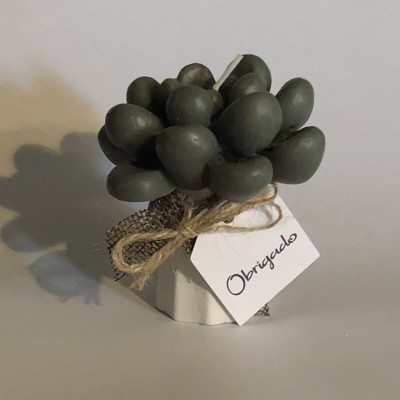 Vela Suculenta em vaso de gesso