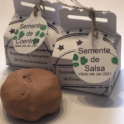 Explosão de Sementes ( bomba Semente )