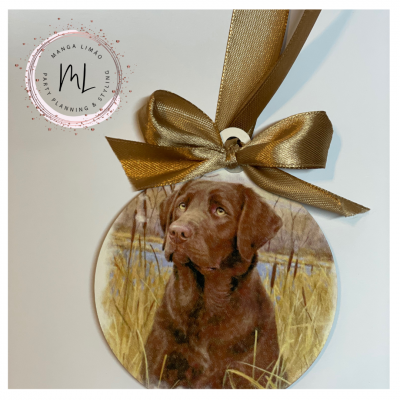 Bola MDF com labrador chocolate