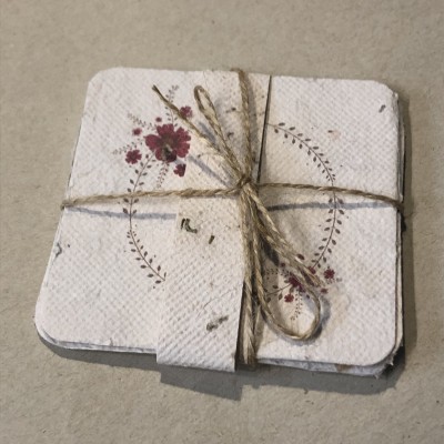 Pack 4 cartões em Papel Vivo ou pape semente