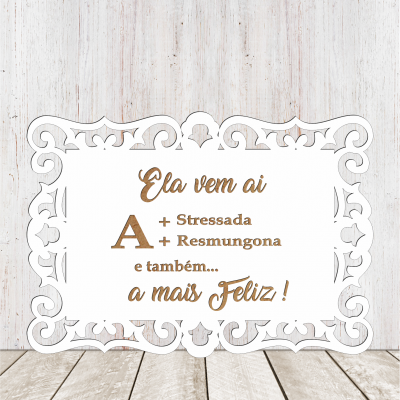 Placa de entrada 2133