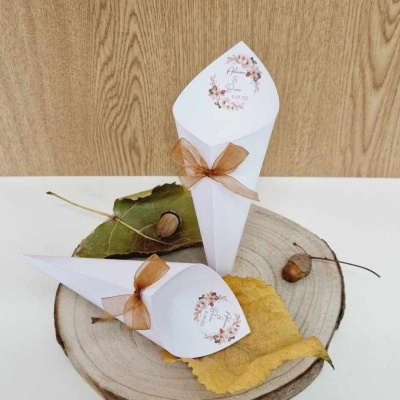 Cone pétalas flores