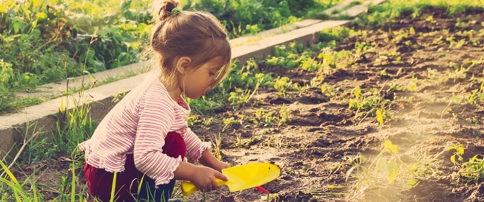 Férias: Tempo de Crescer, Brincar e... Cultivar! Férias: Tempo de Crescer, Brincar e... Cultivar!