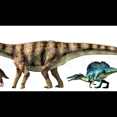 Candeeiro Suspenso DINO Diplodoco