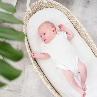 Cesto de Moisés Fraldário em Algas Marinhas Naturais