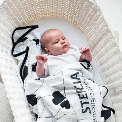 Cesto de MOISÉS Fio de Papel