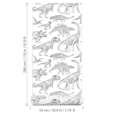 Papel de Parede Dinossauros BRANCO