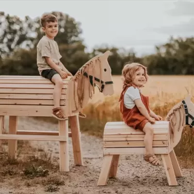 Cavalo de Madeira GRANDE