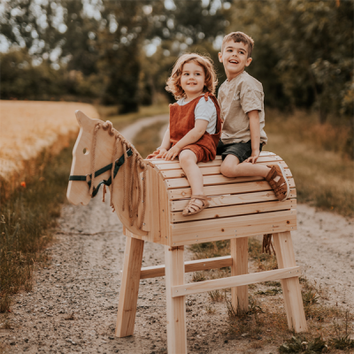Cavalo de Madeira GRANDE