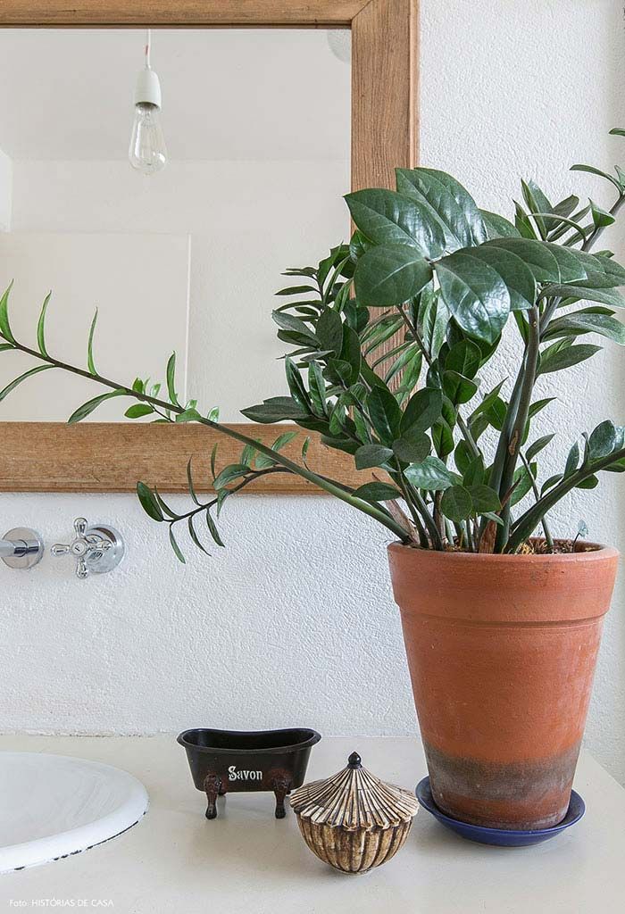 Zami nos ambientes clean