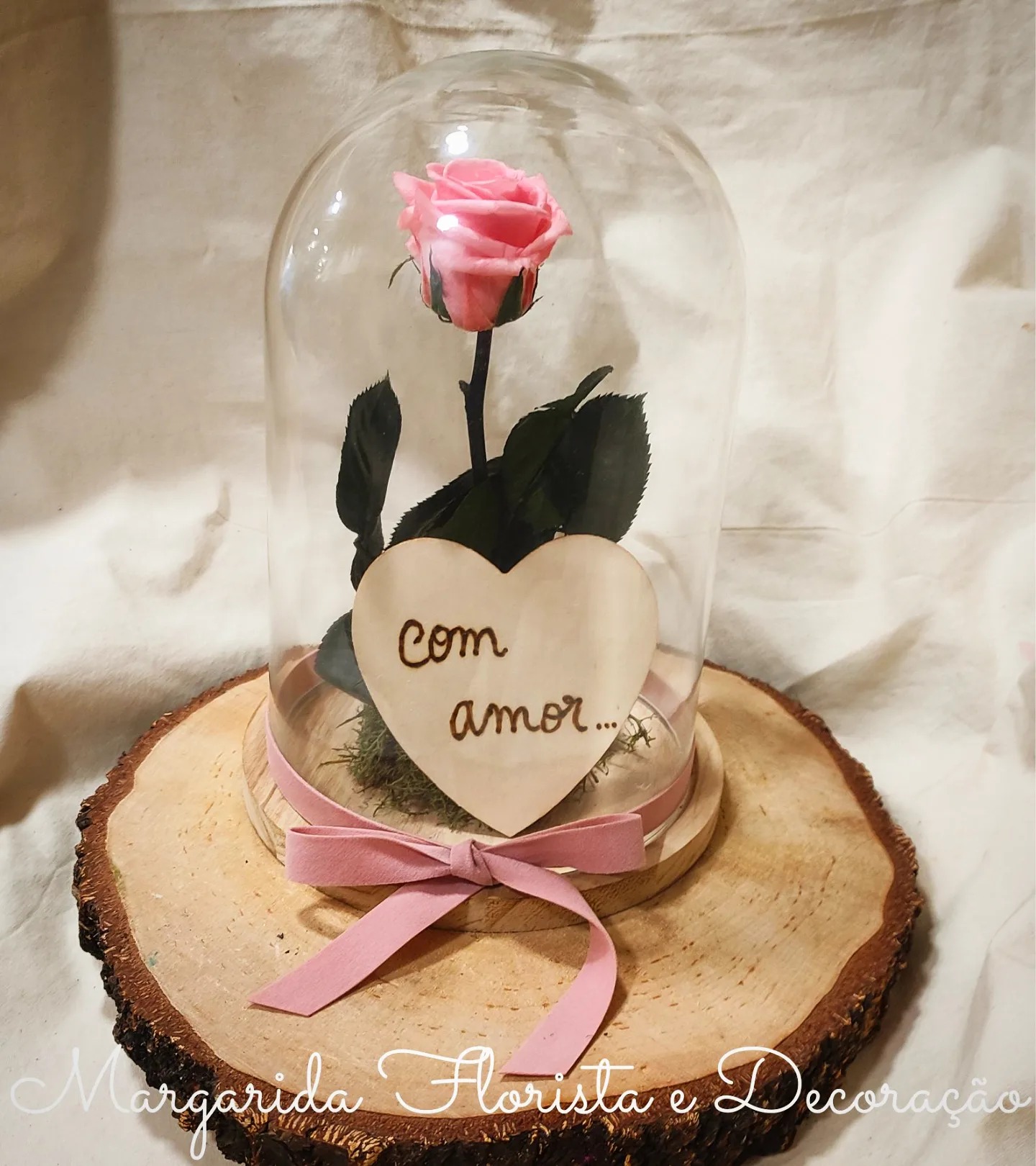 Camp&#x00E2;nula&#x20;Rosa&#x20;Rosa&#x20;Preservada