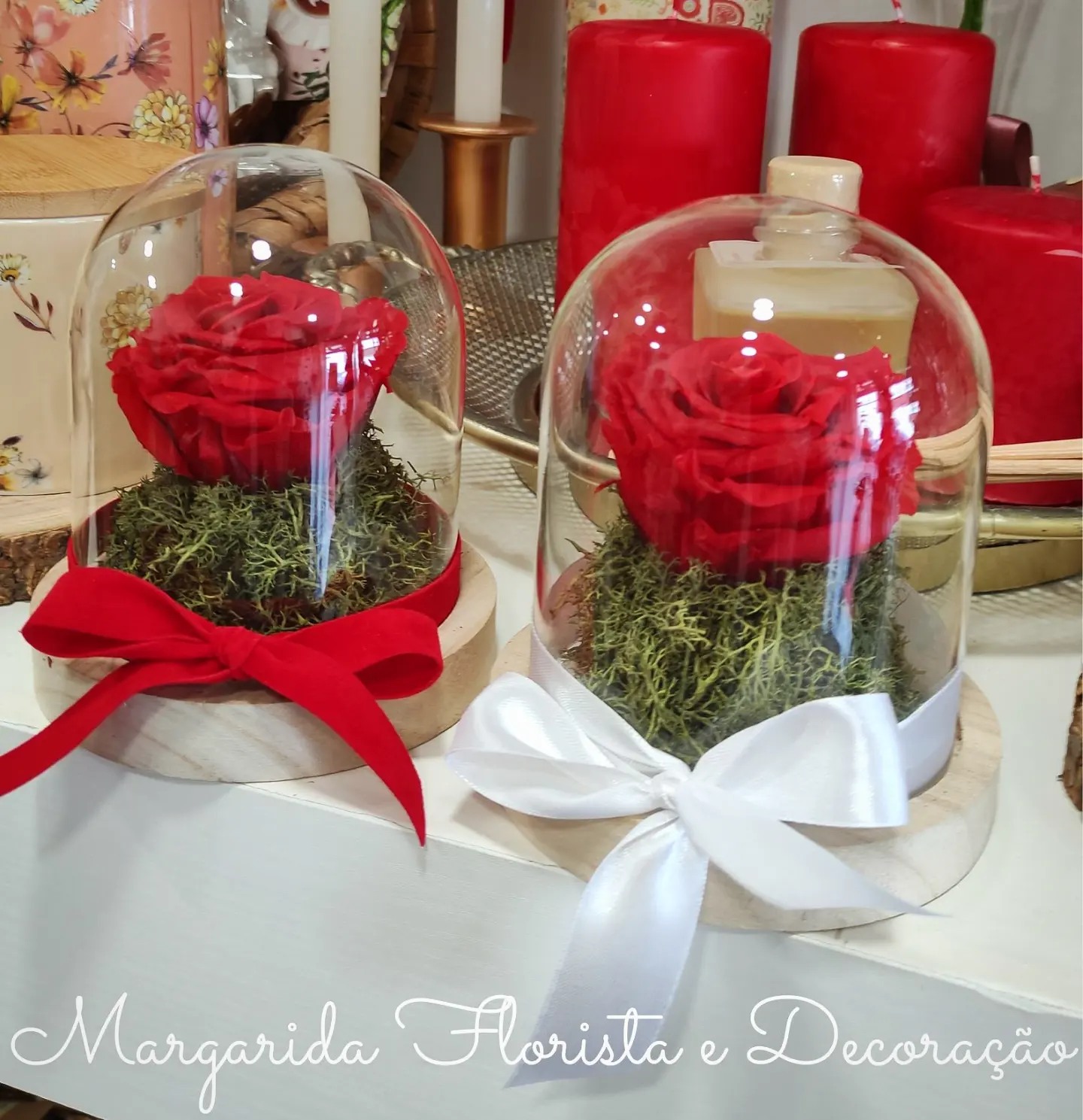 Camp&#x00E2;nula&#x20;Rosa&#x20;Preservada