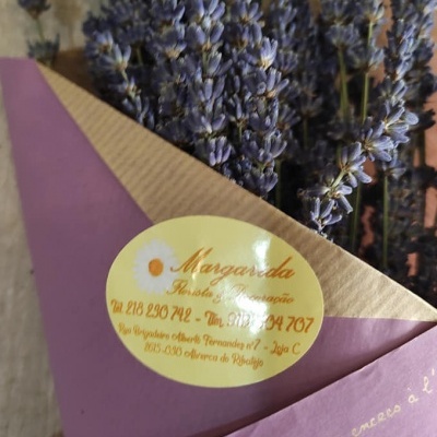 Cone&#x20;Cor&#x20;Lavanda&#x20;L