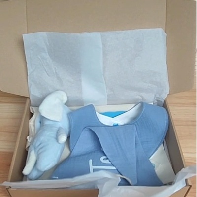 Kit presente recém nascido II