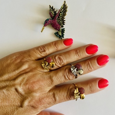 Anéis em aço ajustáveis #228