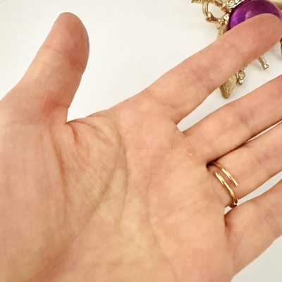 Mão com anel dourado e objeto roxo e dourado ao fundo