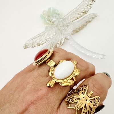 Anéis em aço ajustáveis #501