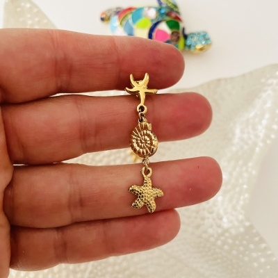 Brincos estrela do mar