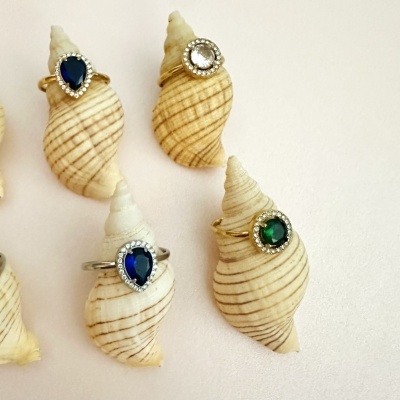 Anéis com pedras coloridas rodeadas por cristais exibidos em conchas naturais com riscas castanhas.