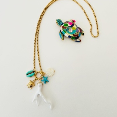 Colares praia, com *corais*,  tartarugas,...