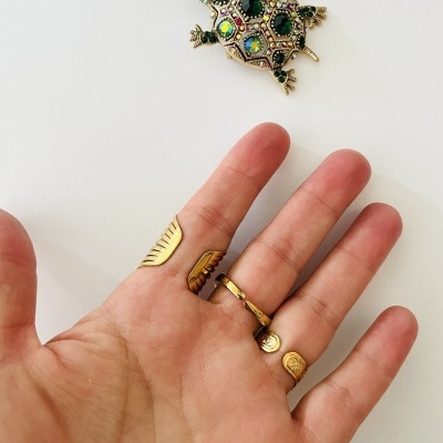 Anéis em aço ajustáveis #242