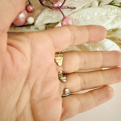 Três anéis metálicos dourado e prateado na mão com fundo decorativo de folhas e bagas.