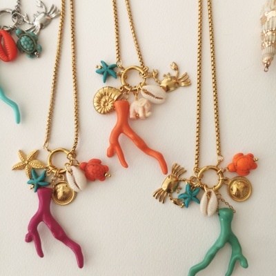 Colares praia, com *corais*,  tartarugas,...