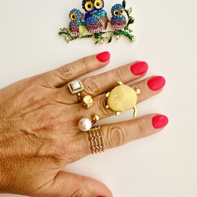 Anéis em aço ajustáveis #294