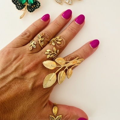 Anéis em aço ajustáveis #237