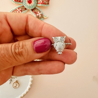 Anel prateado em forma de coruja com pedras brilhantes segurado por mão com unhas roxas