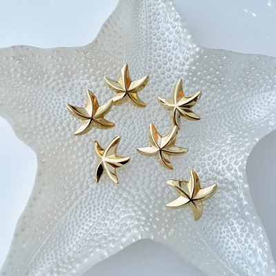 Brincos estrela do mar