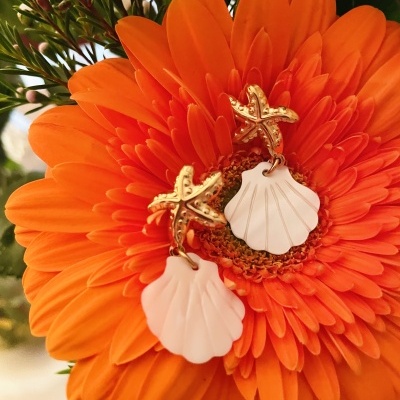 Brincos concha e estrela do mar