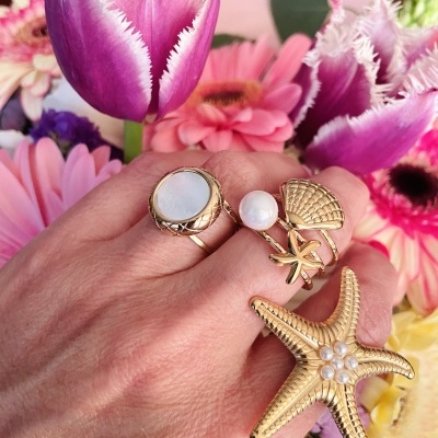 Anéis em aço ajustáveis #278