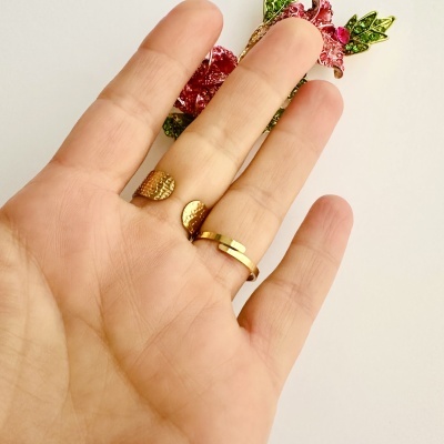 Anéis em aço ajustáveis #295