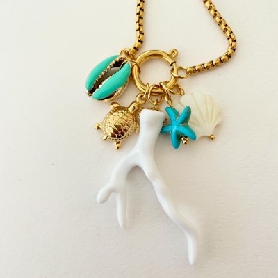 Colares praia, com *corais*,  tartarugas,...