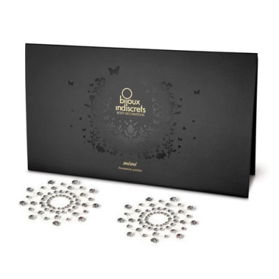 Decoração para o peito - Brilhantes Prateados