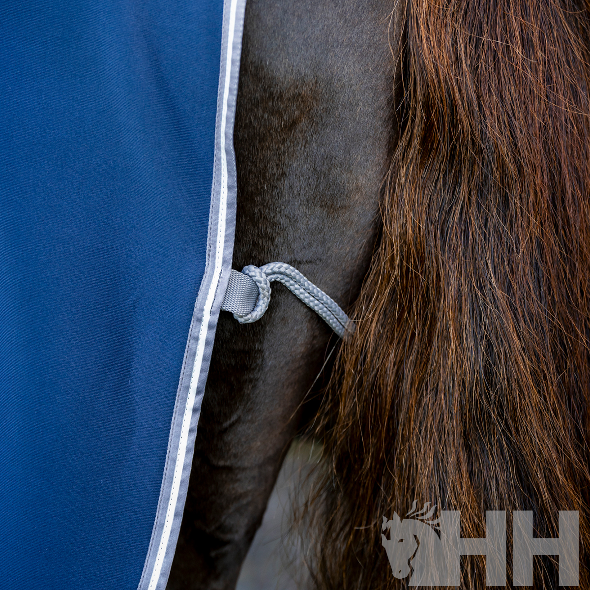 Cobertura azul para cavalo com cordão cinza e pelo do cavalo visível