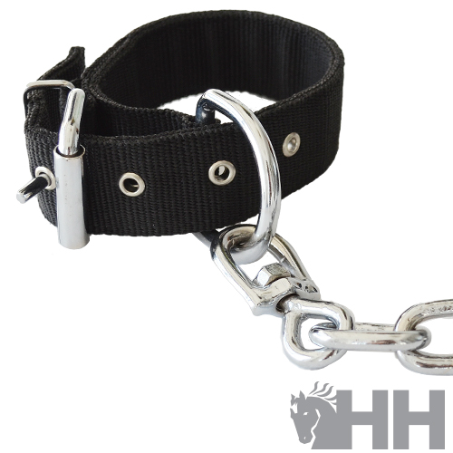 PEIAS HH CORRENTE E FIBRA