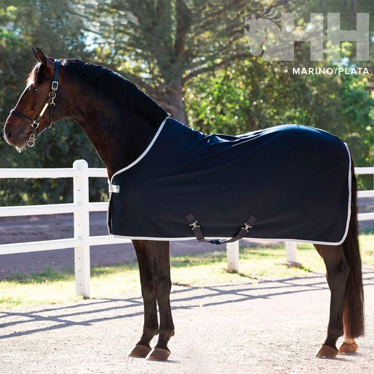 Cavalo castanho usando manta preta com borda branca em ambiente externo com cerca e árvores