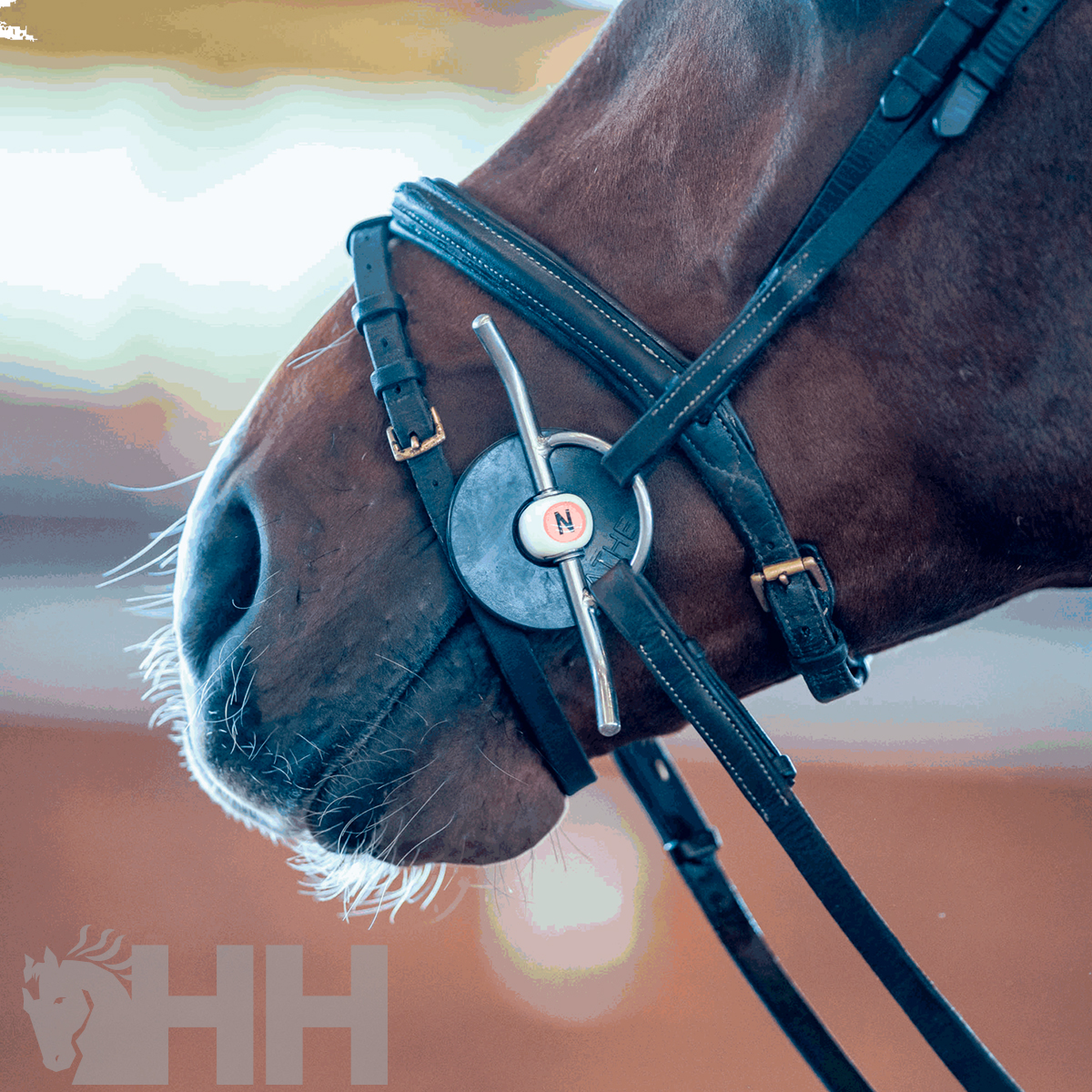 BRIDÃO SPRENGER NATHE TRAVINCAS ARGOLA 55mm