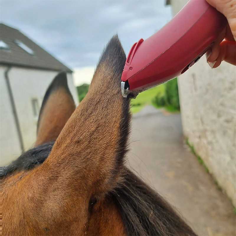 Máquina de Tosquia LIVERYMAN NOVA