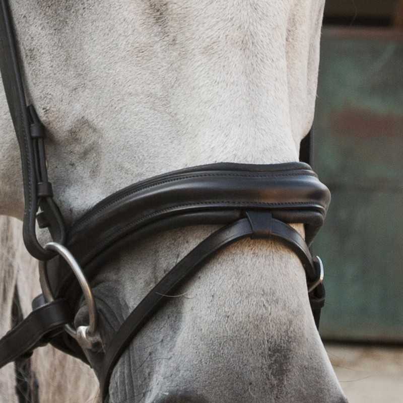 Cabeçada de couro inglês com testeira curva