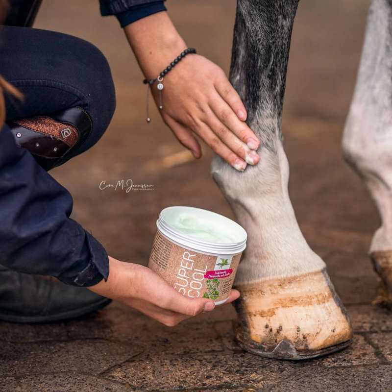 Gel de Tendões Super-Cool Bense & Eicke