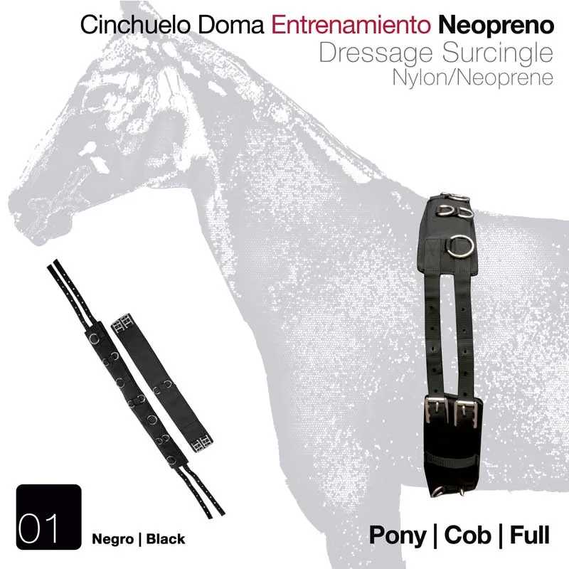 Cinchuelo de doma negro en neopreno y nylon con hebillas metálicas