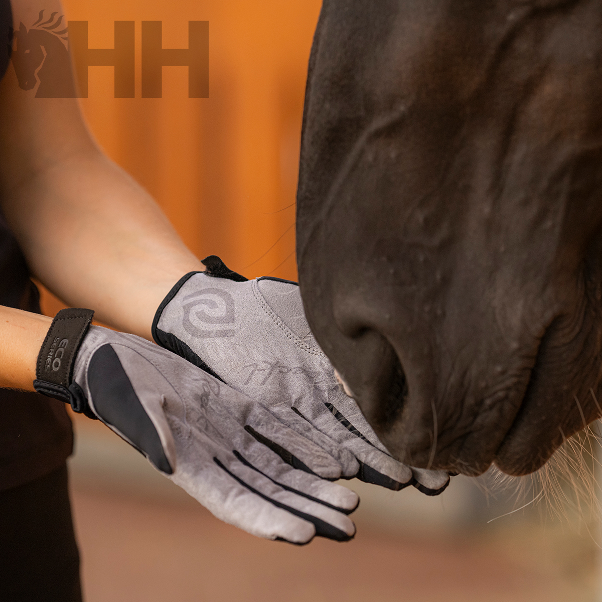 Luvas cinzentas e pretas em mãos próximas ao focinho de um cavalo preto
