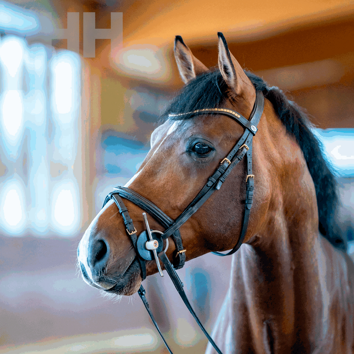 BRIDÃO SPRENGER NATHE TRAVINCAS ARGOLA 55mm